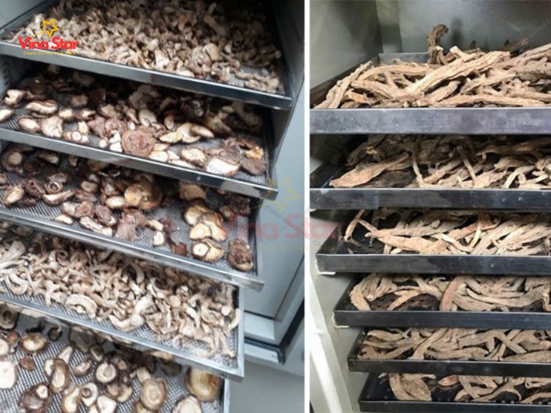Cấu tạo của máy sấy dược liệu công nghiệp