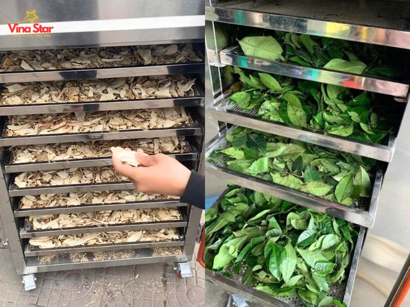 Ứng dụng thực tế của tủ sấy công nghiệp trong nhiều lĩnh vực