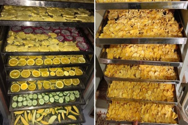 Tầm quan trọng của tủ sấy công nghiệp công suất lớn trong bảo quản thực phẩm và trái cây