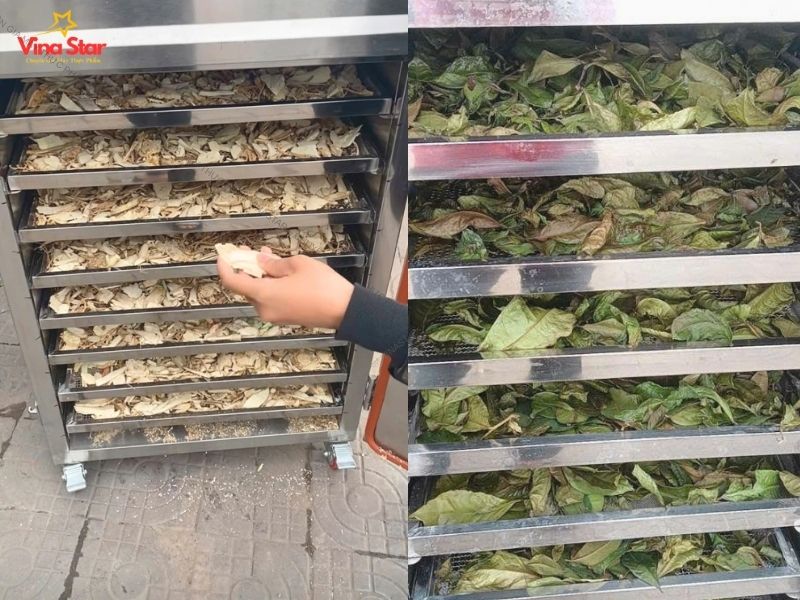 Chuẩn bị dược liệu và xếp khay