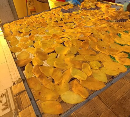 3. Thông Số Kỹ Thuật Khi Sử Dụng Tủ Sấy Nhiệt VinaStar